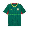 Senegal Voetbalshirts Uit 2026 2027